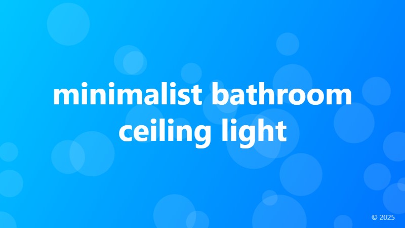 minimalist bathroom ceiling light