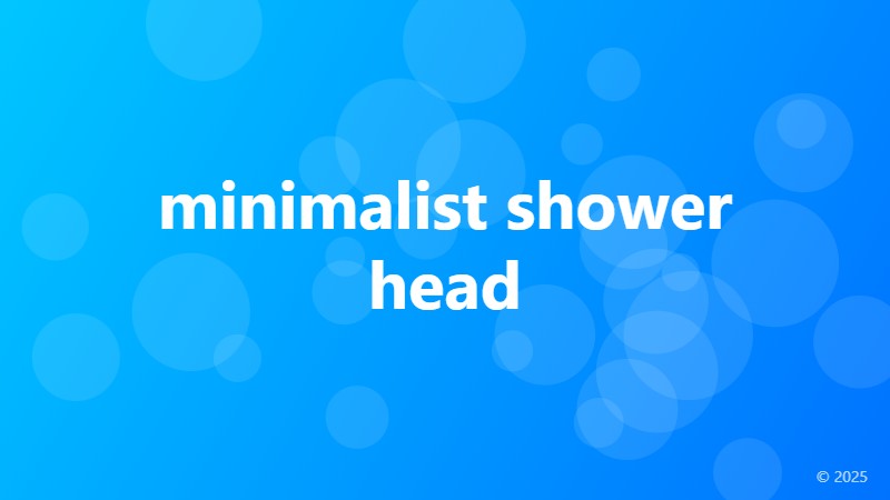 minimalist shower head