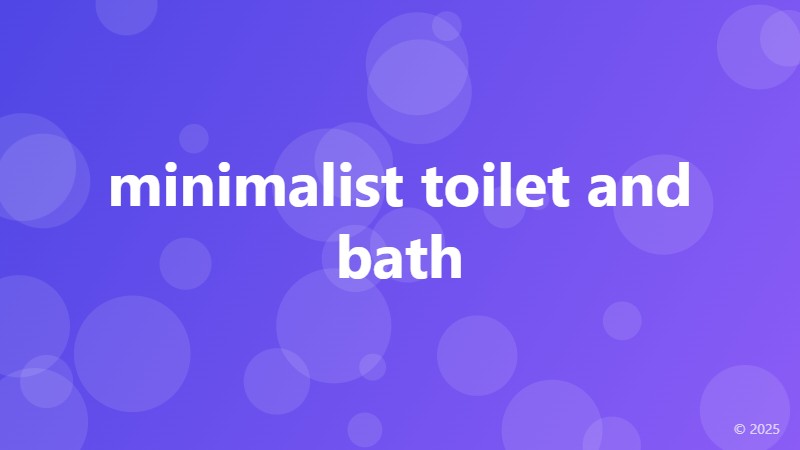 minimalist toilet and bath