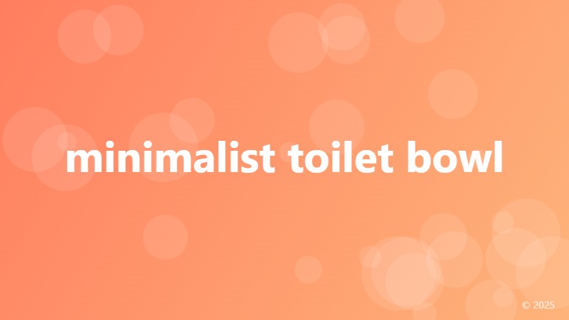 minimalist toilet bowl